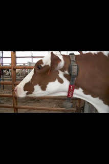 22:50: El increíble doctor Pol: Una semana emocionante | National Geographic | 4/3 2026