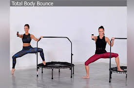 BarreAmped Bounce: BarreAmped Bounce Total Body Bounce