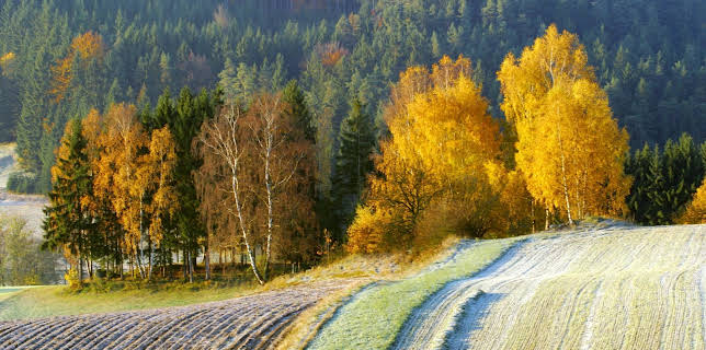 13:40: Waldviertel - Vom Zauber des rauen Landes | 3SAT | 3/6 2026