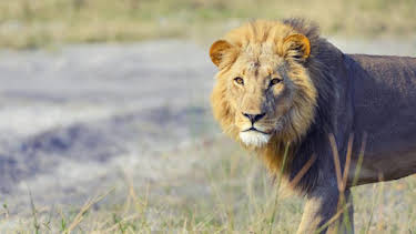 2:00 PM: The Zoo: San Diego (S1) | Discovery Channel | 9/15 2026