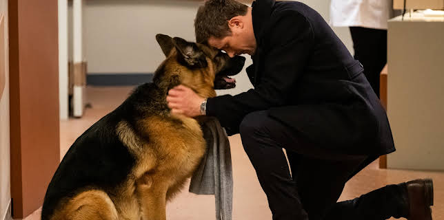 01:10: Hudson & Rex | TV 2 | 11/21 2025