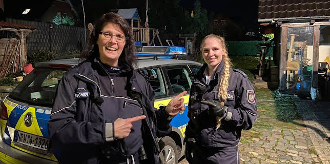 04:50: Auf Streife | Sat1 | 12/25 2025