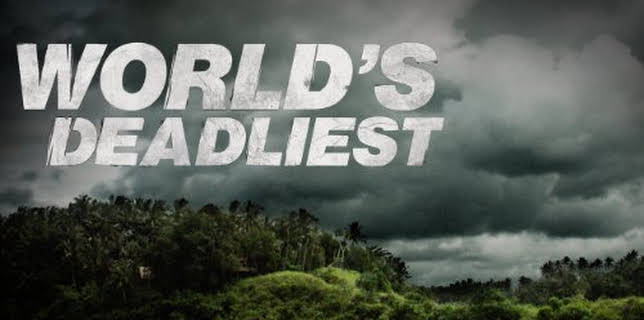 4:00 AM: World's Deadliest | Nat Geo Wild | 11/21 2025