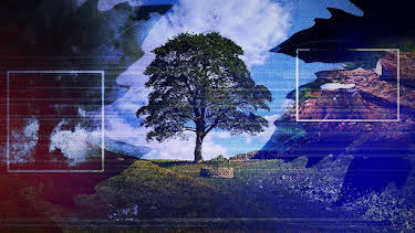 5:30 PM: The Big Cases | BBC News | 12/30 2025