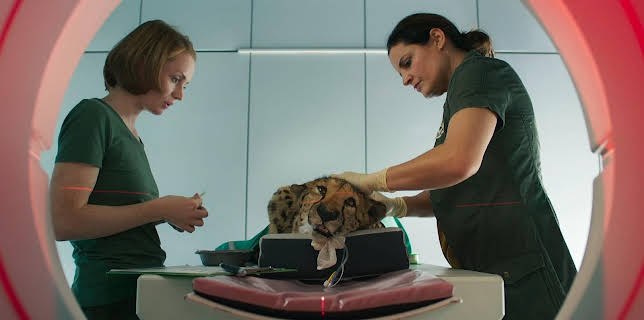 10:20: Tierärztin Dr. Mertens (68) | MDR Fernsehen | 3/7 2026