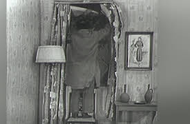 The Three Stooges Shorts: Jerks of All Trades