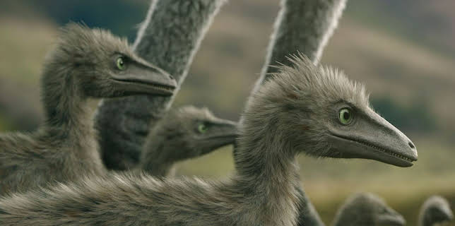 16:30: ARD Wissen | ARD Alpha | 2/8 2026