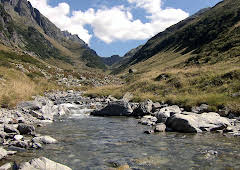 Nichts als Natur