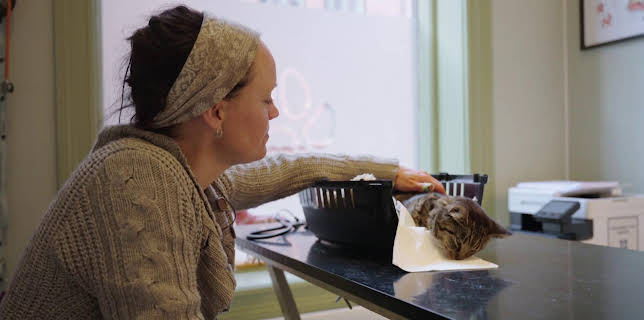 18:10: Dyreklinikken (S1 E1) (S1) | TV8 | 11/8 2025