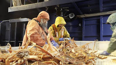 1:00 AM: Deadliest Catch (S20) | Discovery Channel | 10/14 2026