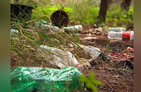 Outdoor Fundamentals: Everything You Need to Know to Stay Safe: Minimizing Your Impact on the Wilderness