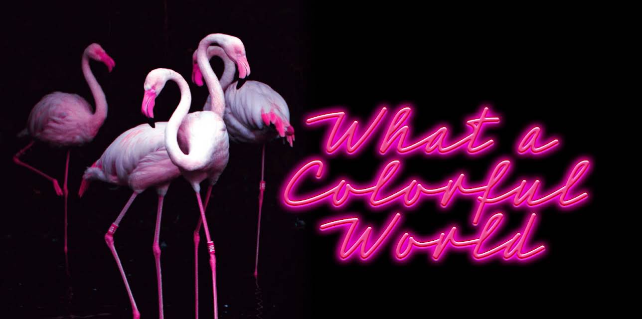 What a Colorful World (2025)