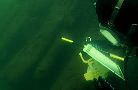 Digging for Britain - Series 1: The Tudors