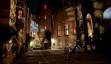 Expedition in die Heimat