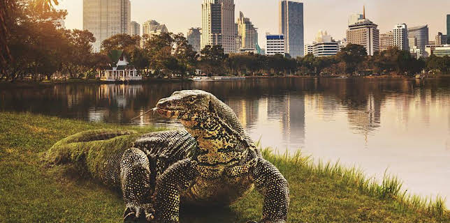 3:30 PM: Asia (S1) | BBC One East Midlands | 2/28 2026