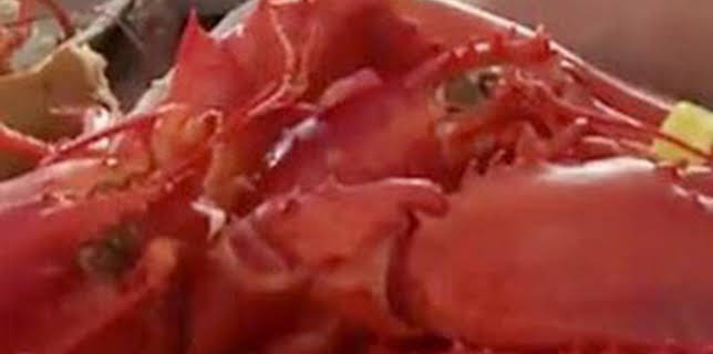 13:58: ¿Cómo lo hacen?: Episodio 12 | Discovery | 3/15 2026