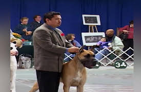 Going to the Dogs: New Beginnings