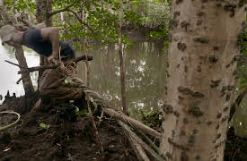 Ed Stafford: First Man Out Season 1: Borneo