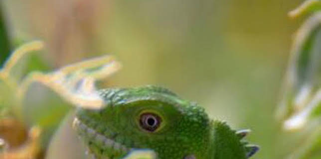 19:30: República Dominicana, tesoro del Caribe | La Otra | 3/5 2026