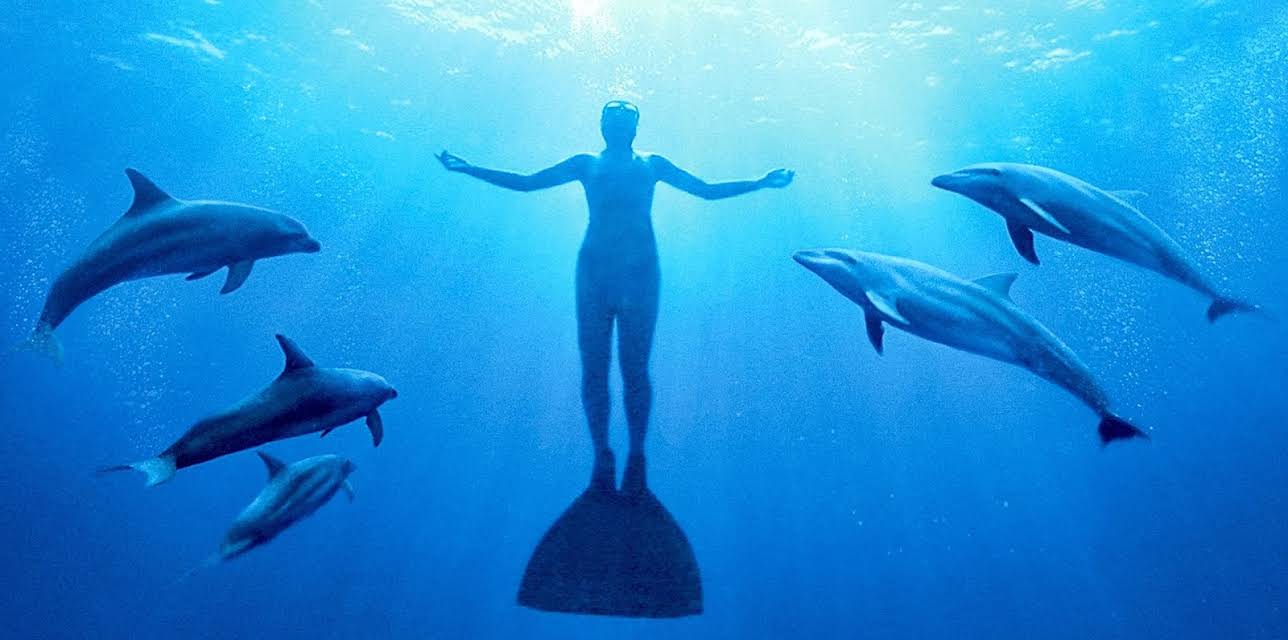 The Cove (2009)