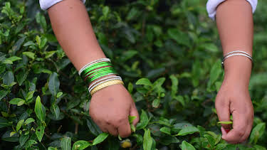 06:48: How It's Made (S21 E5) (S21) | Discovery Science | 4/10 2026