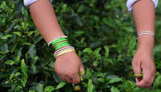 How It's Made (S21 E5)