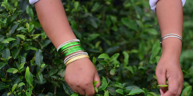 12:50: Hvordan den lages (S21 E5) (S21) | Discovery Science | 10/30 2025