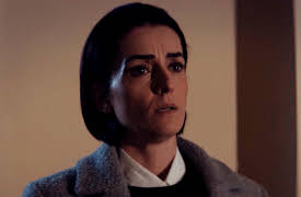 The Hunt For Salamander (English Subtitles): Episode 7 (English Subtitles)