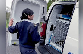 The Dog Rescuers: Episode 7