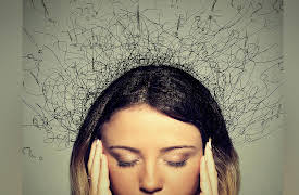 The Big Questions of Philosophy: What Do Minds Do, If Anything?