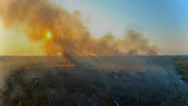 02:15: Bedrohter Amazonas - Warum die grüne Lunge stirbt | ZDFinfo | 11/29 2025
