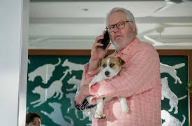 NCIS: Sydney: Doggieccino Day Afternoon