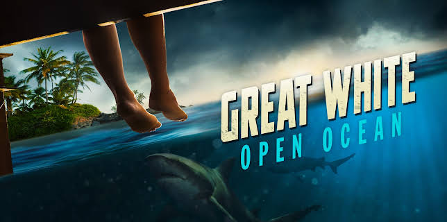 Great White Open Ocean