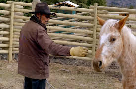 Breaking Wild: Season 1: The Chase is On