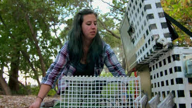 7:30 AM: How Do Animals Do That? (S1) | Discovery Channel | 4/11 2026