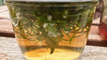 16:30: Querbeet ABC | ARD Alpha | 3/27 2026