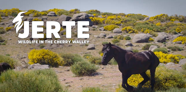 Jerte, Wildlife in the Cherry Valley (2017)