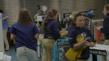 8:00 AM: The Aquarium (S1) | Discovery Channel | 8/18 2026