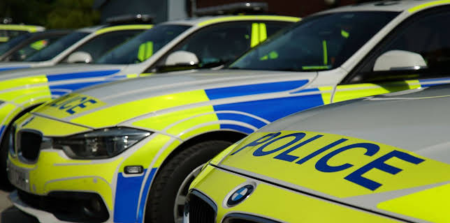 12:00 PM: Traffic Cops (S8 E9) (S8) | 5 Star | 2/18 2026