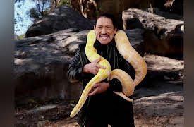 Snaketacular: Snaketacular