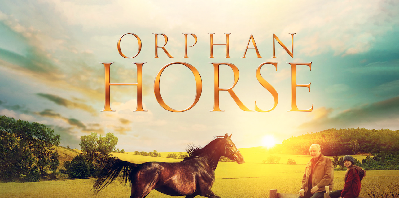 Orphan Horse (2018)