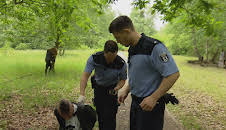 Auf Streife - Berlin