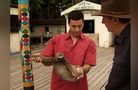 In the Americas with David Yetman: In the Amazon's Mouth