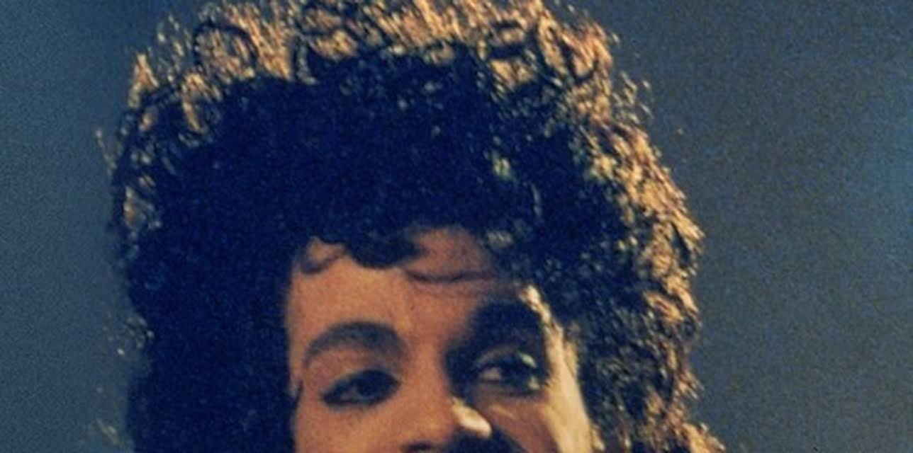 Prince: The Secret Life (2017)