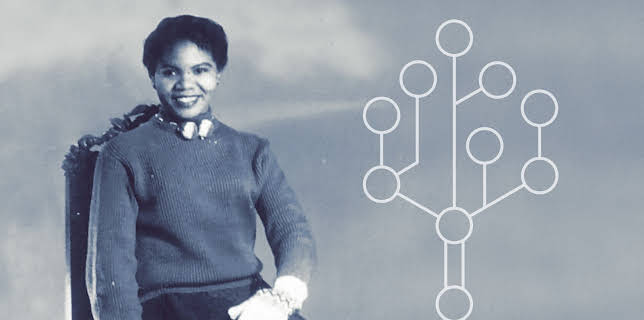 11:35: Ukjent arving: Sverige: Bagladyens millioner | NRK 2 | 2/3 2026