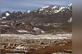 In the Americas with David Yetman: Peru: People of the Altiplano