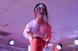 Big Little Brawlers, Season 1: Last Laughs