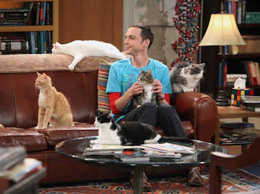 16:00: The Big Bang Theory | ProSieben | 7/31 2026