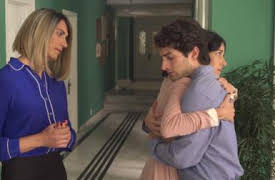 La casa de las flores: BROMELIA (symboliserar motståndskraft)