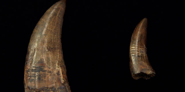 18:45: Pawn Stars - Die drei vom Pfandhaus | Kabel Eins Doku | 3/6 2026